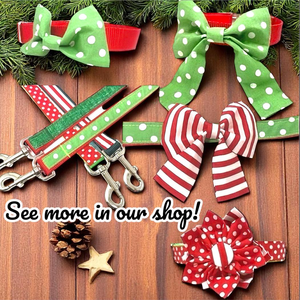 Christmas Dog Collar Bow, Bowtie, Bow Tie, Candy Cane, Red, Green, Holiday, Dog Collar Flower, Pet Bows, Seasonal