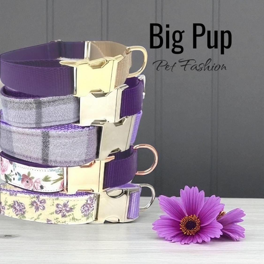 Purple, Lilac, Buckle Martingale Dog Collar, Lavender, Greyhound, Whippet, Girl, Custom, Engrave, Puppy, Plaid, Designer, Floral, Female