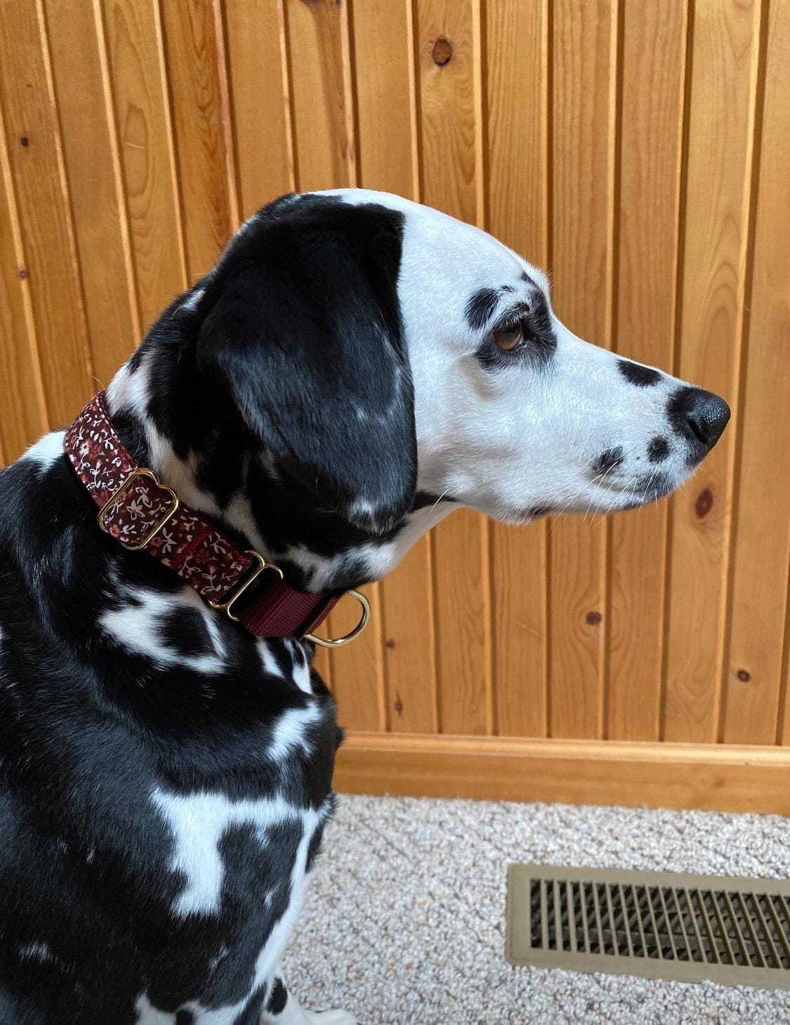 Dog Collar For Girl, Custom Dog Collar, Puppy Collar, Engraved Dog Collar, Designer Dog Collar, Maroon, Floral, Personalized Dog, Cute Dog