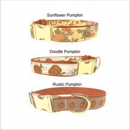 Cute, Personalized, Fall, Pumpkin, Designer Dog Collar In Yellow + Orange, Rustic, Sunflower, Boho, Autumn, Seasonal, Small, Medium, Large