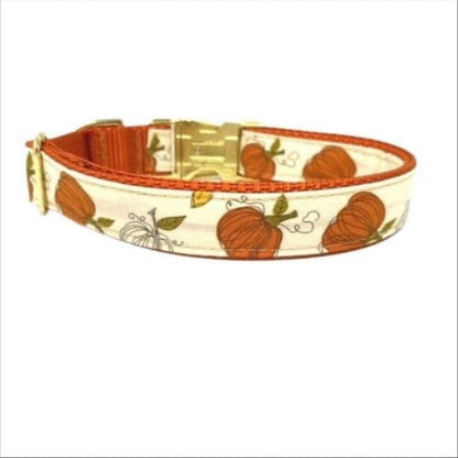 Cute, Personalized, Fall, Pumpkin, Designer Dog Collar In Yellow + Orange, Rustic, Sunflower, Boho, Autumn, Seasonal, Small, Medium, Large