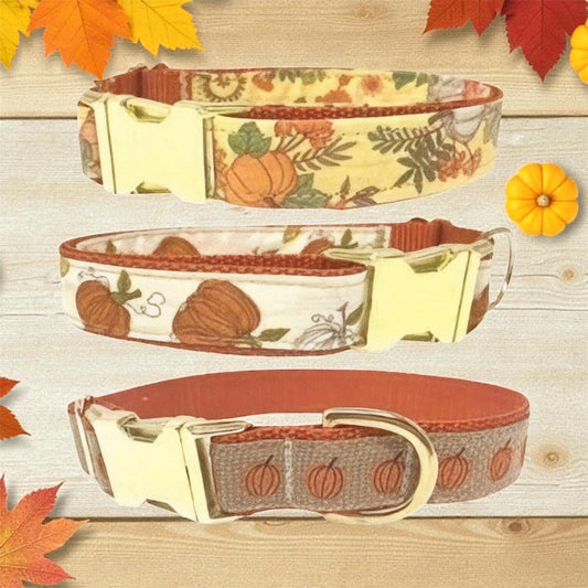 Cute, Personalized, Fall, Pumpkin, Designer Dog Collar In Yellow + Orange, Rustic, Sunflower, Boho, Autumn, Seasonal, Small, Medium, Large