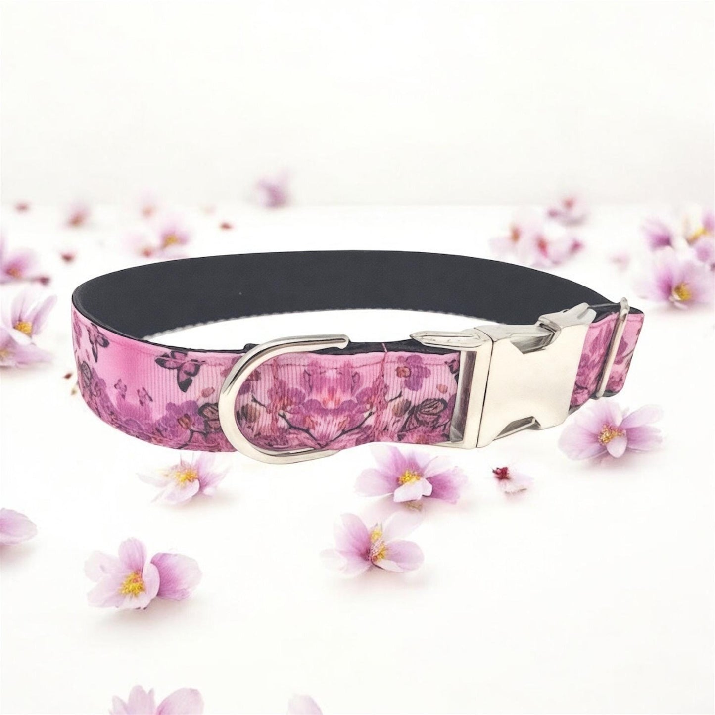 Dog Collar For Girls, Female, Butterfly, Orchid, Floral, Pink, Purple, Black, Flowers, Summer, Personalized, Custom, Engraved, Nature