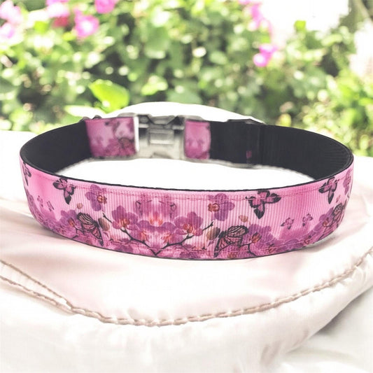 Dog Collar For Girls, Female, Butterfly, Orchid, Floral, Pink, Purple, Black, Flowers, Summer, Personalized, Custom, Engraved, Nature
