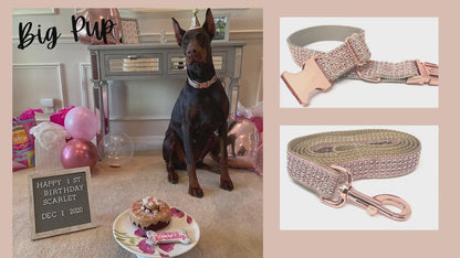 Rhinestone, Glitter, Fancy Dog Collar, Blingy Sparkly Pet Collar, Hot Pink, Purple, Lavender, Collar, Personalized, Engrave, Girls, Female