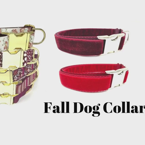 Fall, Burgundy, Velvet, Custom, Dog Collar, Girl, Boy, Personalized, Engraved, Cute, Designer, Puppy, Cat, Pet, Small, Medium, Large, Buckle
