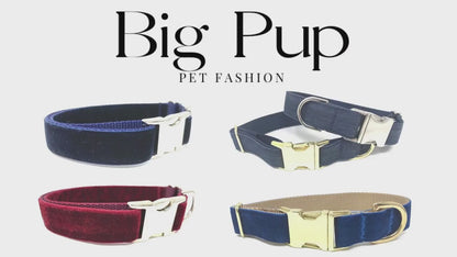 Dog Collar Boy, Grey, Collars, Custom Dog Collar, Small Dog Collar, Engraved Dog Collar, Designer Dog Collar, Large Dog Collar, Personalized