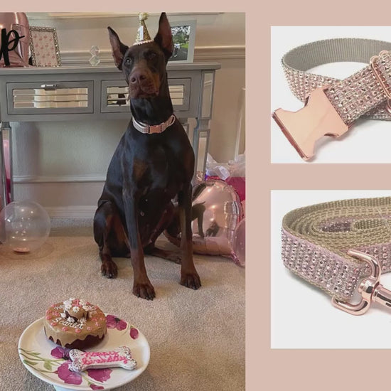 Purple, Rhinestone & Nylon, Fancy, Blingy, Sparkle Dog Collar, Personalized Dog Collar, Custom, Engraved Dog Collar, Girls, Female, Boys