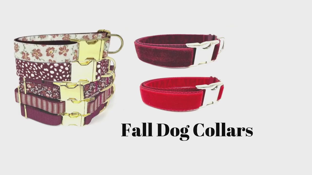 Cute, Personalized, Fall, Pumpkin, Designer Dog Collar In Yellow + Orange, Rustic, Sunflower, Boho, Autumn, Seasonal, Small, Medium, Large