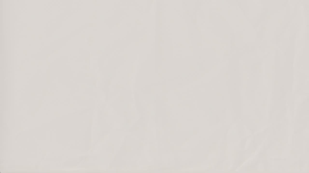 Martingale Dog Collar, W/ Buckle, Fruit, Lemon, Pink, Green, Orange, Dog Collar Girl, Personalized, Custom Dog Collar, Engraved, Puppy Colla