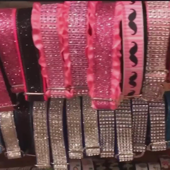 Black, Custom, Dog Collar, Girl, Boy, Personalized, Engraved, Cute, Designer, Puppy, Cat, Pet, Small, Medium, Large, Fashion, Rose Gold